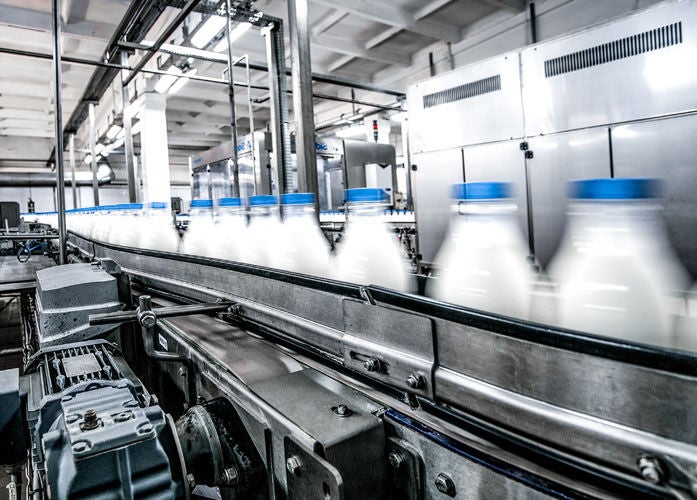 Food - Beverage, conveyor, milk bottles Usine d'embouteillage de lait